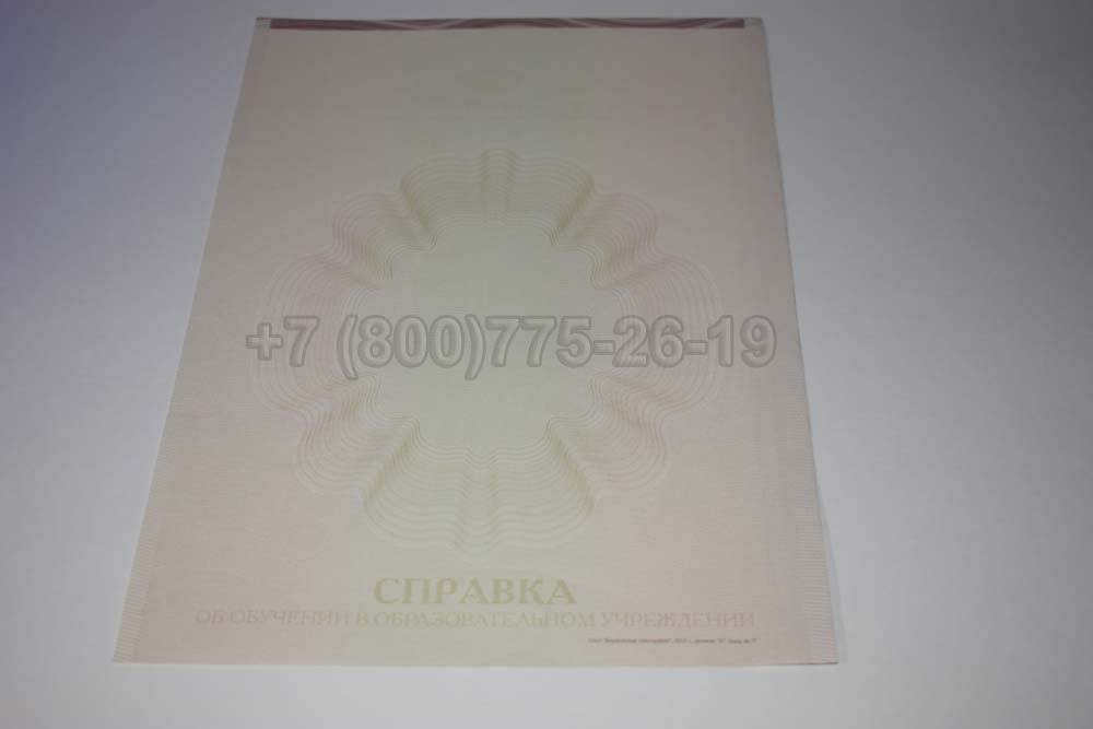 Академическая справка ВУЗа Гознак 2014-2025 год выпуска г.Иркутск